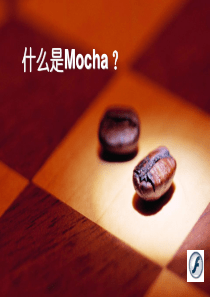 Mocha BSM 4+1产品套装简介V2.1(增加备注)