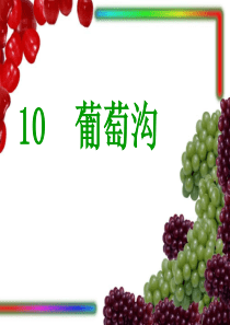 人教版二年级语文下册第10课《葡萄沟》PPT课件 15-16