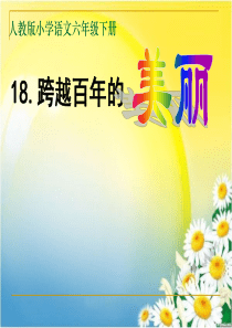 小学语文六年级下册 公开课《跨越百年的美丽》教学 ppt课件
