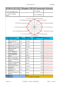 社会责任检查表(已填写)