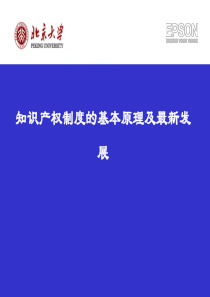 知识产权制度的基本原理及最新发展