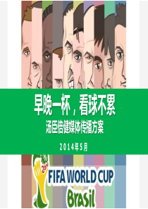 汤臣倍健世界杯营销方案-20140517