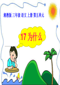 第五单元17为什么湘教版语文三年级上册教学课件ppt