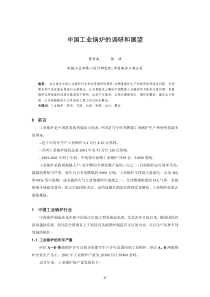 中国工业锅炉的调研和展望