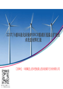 220th循环流化床锅炉SNCR脱硝区低温去扩展技术改造