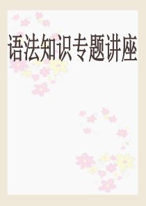 语法知识专题讲座