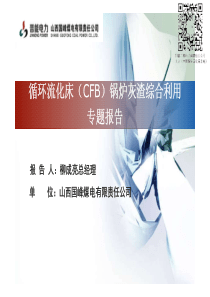 循环流化床CFB锅炉灰渣综合利用专题报告