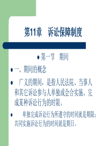 第11章诉讼保障制度与程序