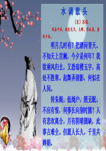 课文教学课件2但愿人长久苏教版语文四年级上册教学课件ppt