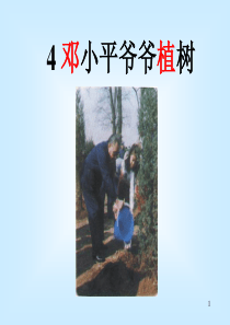 邓小平爷爷植树ppt课件部编版二年级下册语文教学资源
