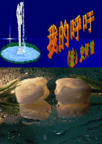 高一语文我的呼吁1高一语文课件