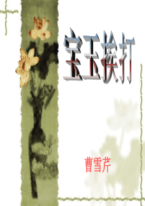 高三语文宝玉挨打1高三语文课件