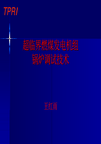 超临界燃煤发电机组锅炉调试技术