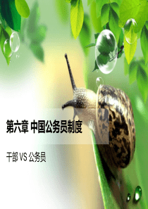 第六章公务员制度