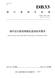 DB338002013锅炉运行能效限额及监测技术要求