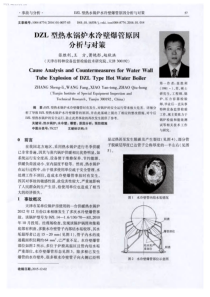 DZL型热水锅炉水冷壁爆管原因分析与对策