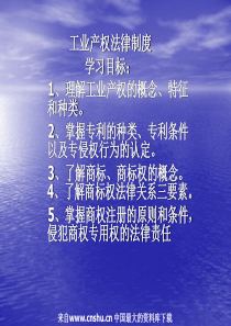 管理制度--工业产权法律制度(PPT 30页)