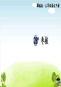 枣核ppt-6(最新课件)