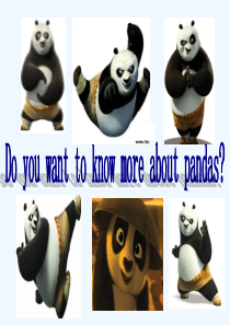 新人教版英语八年级下册Unit7-Whats-the-highest-mountain-in-the