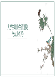 大学生职业生涯规划与就业指导-6.第六章--大学生就业程序