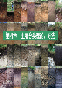 第四章-土壤分类理论、方法概述