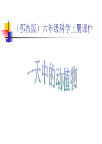 (鄂教版)六年级科学上册课件 一天中的动植物 2
