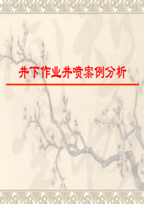 井控案例分析