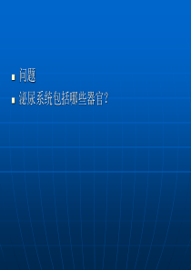 泌尿外科常见疾病的护理1