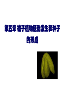 植物发育生物学5