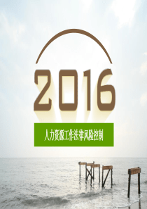 人力资源法律风险控制