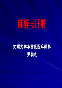 81麻醉与肝脏