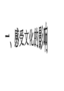 高二政治 感受文化的影响