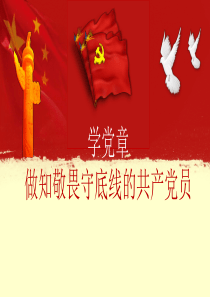 做合格党员,党课稿