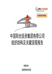 中国阳光投资集团-组织结构及关键流程报告