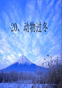 21动物过冬新 (1)