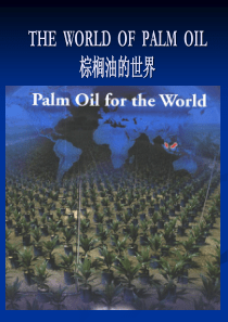 棕榈油