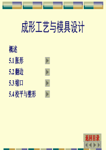 第五章成形工艺与成形模设计