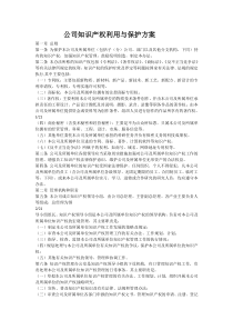 公司知识产权利用与保护方案