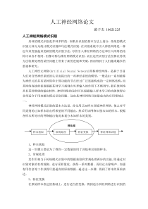 人工神经网络-结课论文