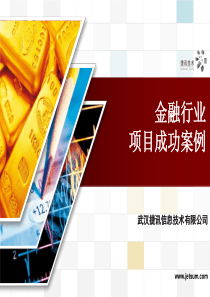 金融行业项目成功案例