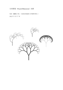 分形维数浅释