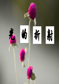 高中物理选修3-4光的折射ppt.ppt