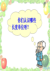 二年数学下册PPT课件铅笔有多长