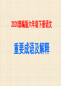 2020部编版六年级语文下册重要成语及解释