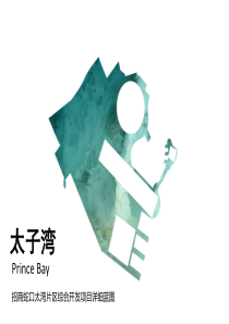 036-招商蛇口太湾片区综合开发项目详细蓝图
