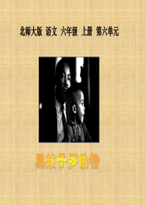 北师大版六年级语文上册黑孩子罗伯特公开课ppt课件