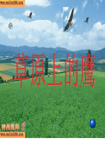 浙教小学语文三年级下册3草原上的鹰PPT课件1