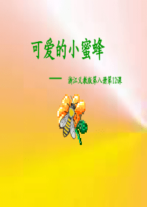 浙教小学语文四年级下册12可爱的小蜜蜂PPT课件1