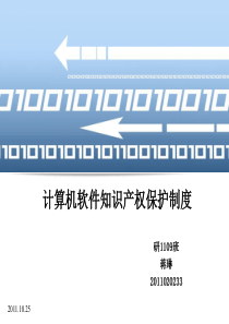 计算机软件知识产权保护制度