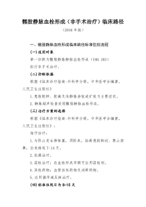 髂股静脉血栓形成(非手术治疗)临床路径-(2016年版)-一、髂股静脉